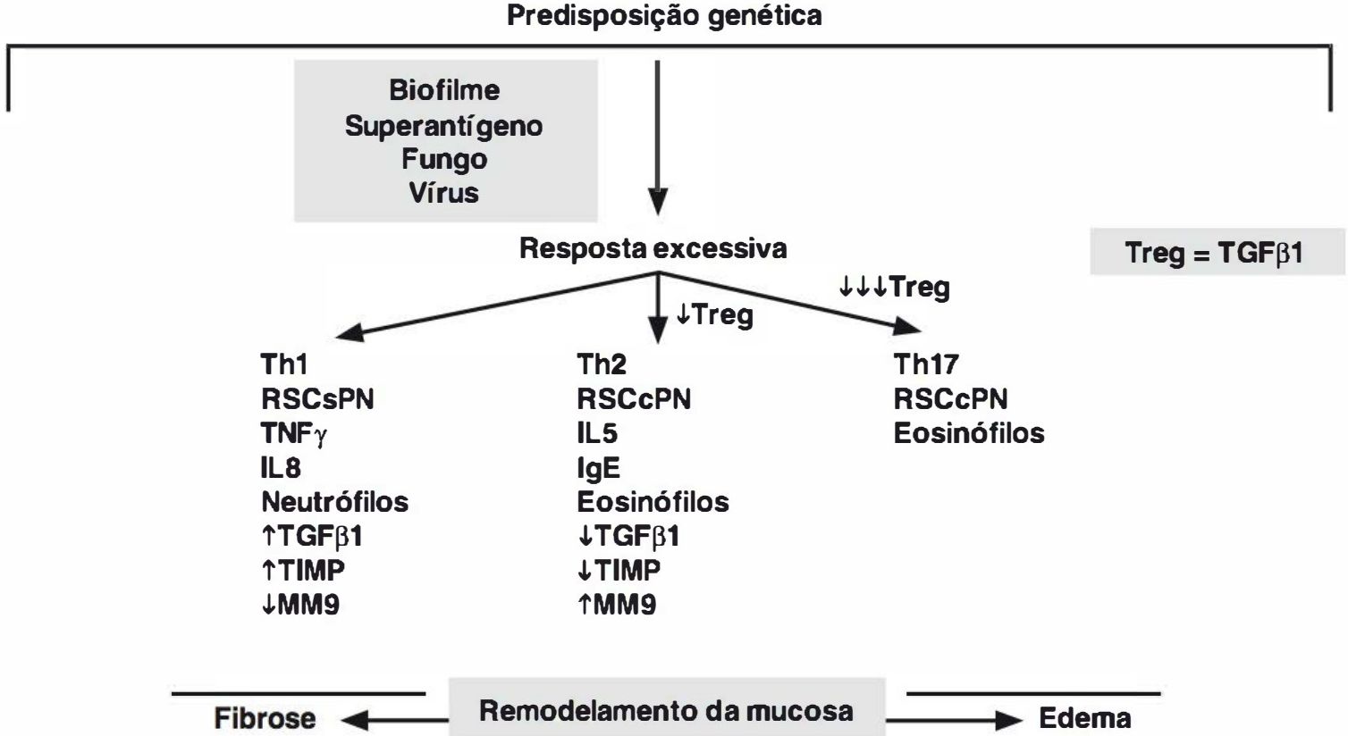 Modelo inflamatório Th1 na RSC sem pólipos e Th2/Th17 na RSC com pólipos
