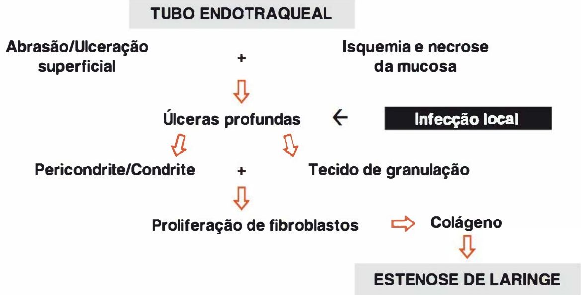 Fluxograma da fisiopatologia da lesão de laringe por entubação